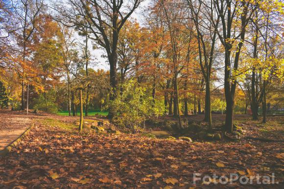 Park Wilsona jesienią