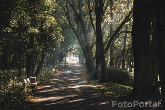 Jesień w Parku Wodziczki
