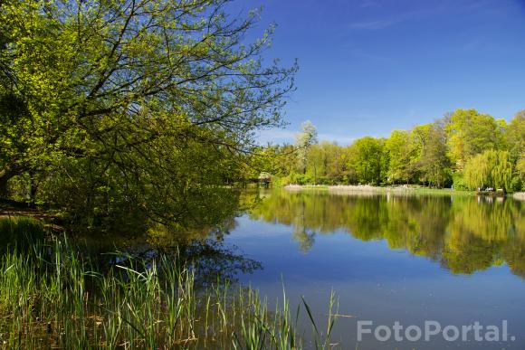 Sołacz2