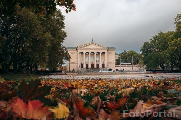 Jesień w Parku Mickiewicza