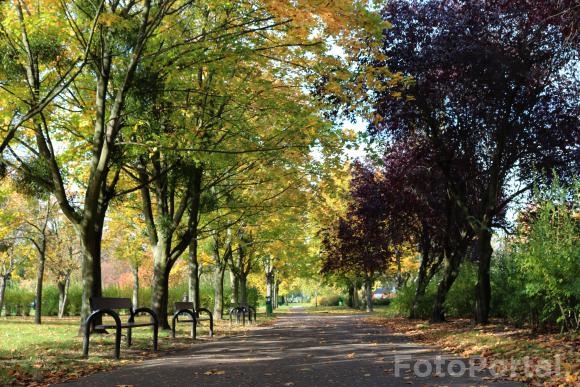 Park im. Wł. Czarneckiego