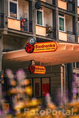 Sieciówka