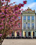 Stary Rynek