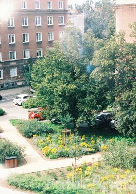 słoneczne letnie popołudnie