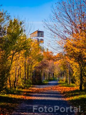 Jesień na Szachtach