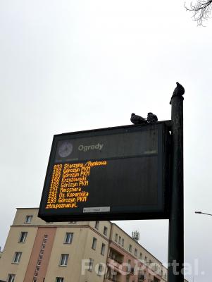Tablica rozkładu jazdy na przystanku Ogrody