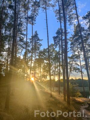 Ostatnie promienie słońca ☀️