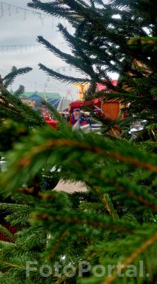 Plac Wolności Grudniowa Pora