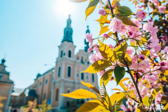 Wiosna na Placu Bernadyńskim