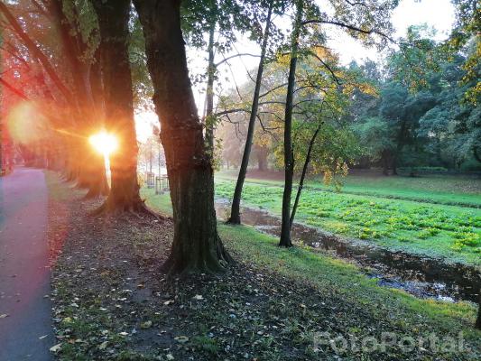 Park Wodziczki o poranku