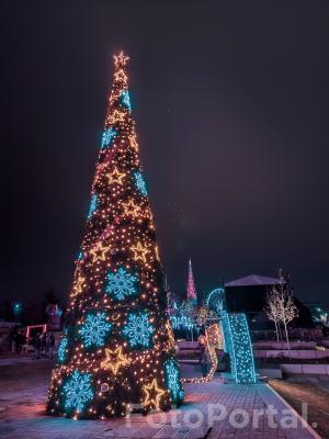 Jarmarkowa choinka 🎄