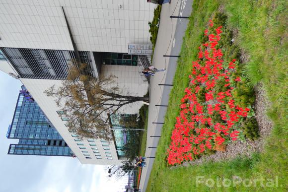 Poznań moje ukochane miasto H