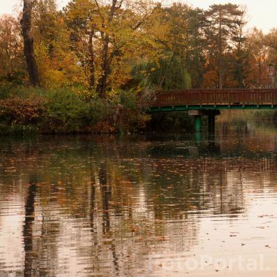 Sołacka jesień - odbicia