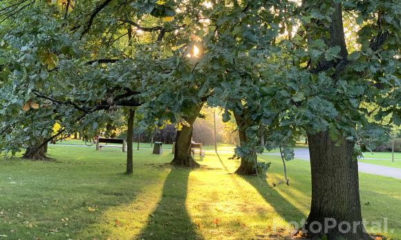 Park Jana Pawła II