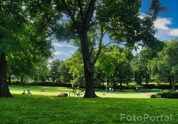 Park Adama Mickiewicza