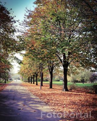 park nad Wartą