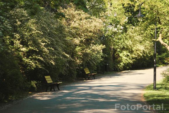 Sołacz park