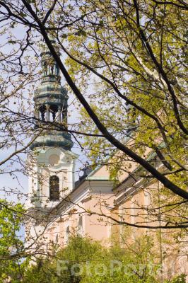Kościół św. Franciszka Serafickiego za drzewami