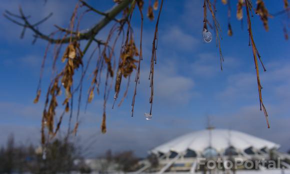 Arena Hala Widowiskowo-Sportowa