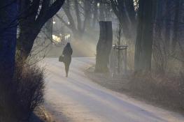 Światłocienie Poznania