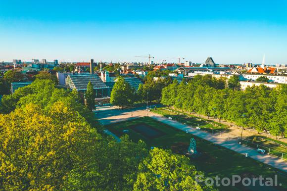 Park Wilsona cały zielony