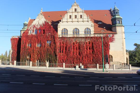 Jesienny Poznań 12