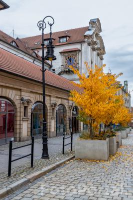 Jesienny  Poznań