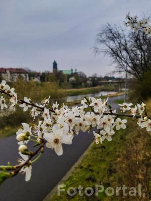 Tuż obok Wartostrady