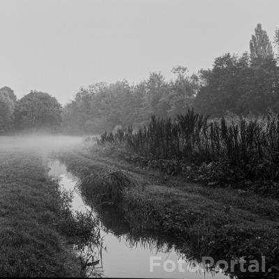 Świt nad Bogdanką