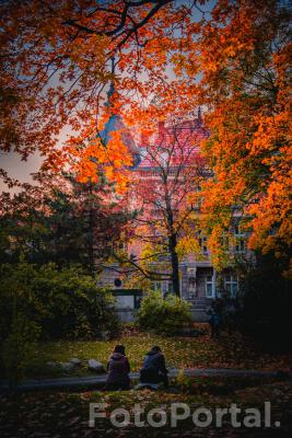 Jesień w Parku Wilsona