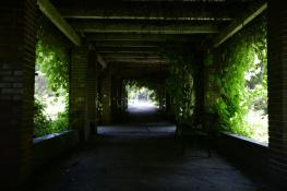 Światłocienie Poznania