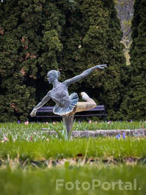 Ogród Botaniczny