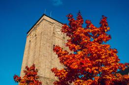 Jesień i Wieża zamkowa
