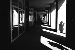 Światłocienie Poznania