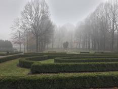 Ogród zamkowy w Poznaniu
