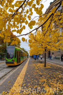 Jesienny  Poznań