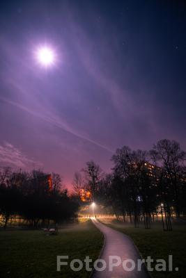 Gwieździsta noc w Poznaniu