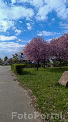 Arena wiosną