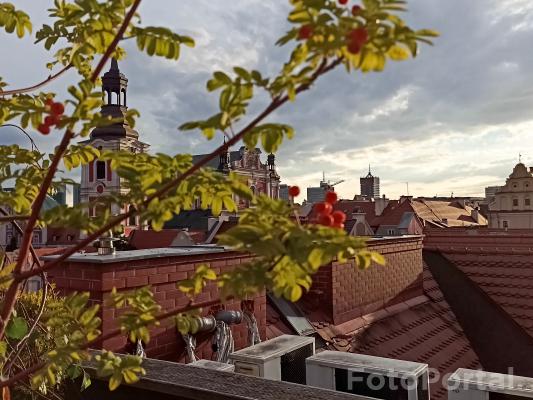 Widok na Poznańskie dachy