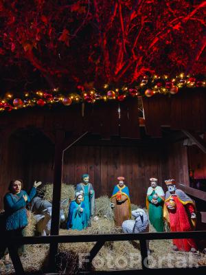 Szopka Bożonarodzeniowa