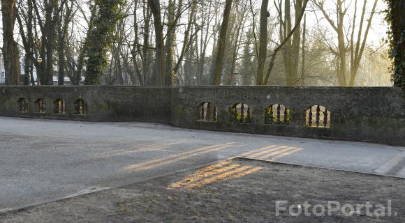 Światłocienie Poznania