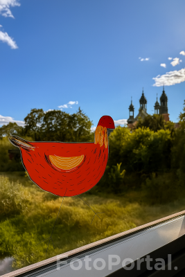 Poznań z lotu… kury 🐓