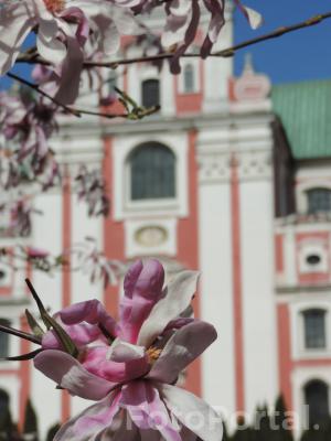 Wiosenny Poznań
