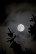 Księżyc w nocy