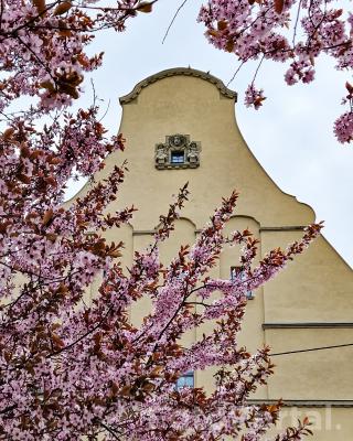 Szkoła