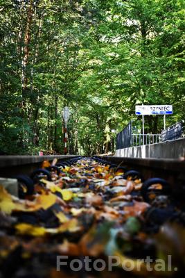 Poznań 'z podłogi'