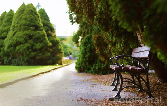 Ogród Botaniczny UAM w Poznaniu