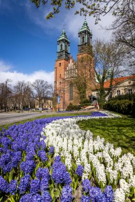 Wiosenny Poznań