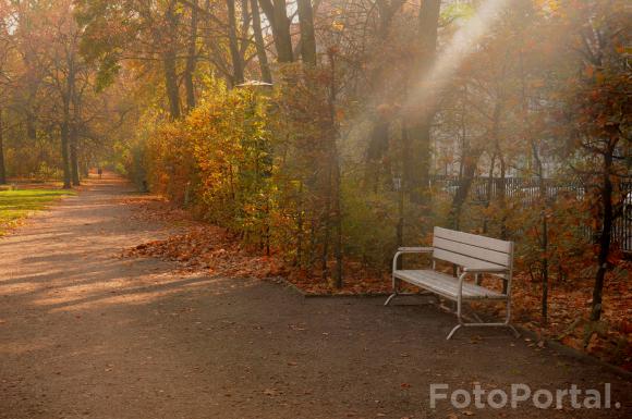 Jesień u Wilsona