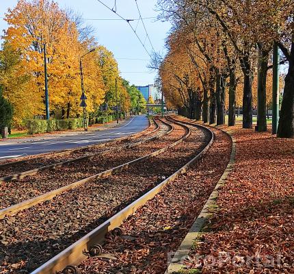 tory tramwajowe wzdłuż al. Wielkopolskiej